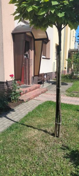 Dobre Mieszkanie, Bolesławiec